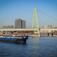 46435018_1345584362245601_6489751302866731008_n